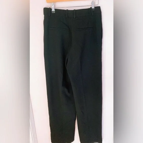 Aritzia Babaton Pleated Pant —TALL - Picture 4 of 11